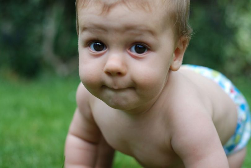 toddler on ground baby gates guide